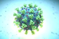 Jihoafrická mutace nového typu koronaviru