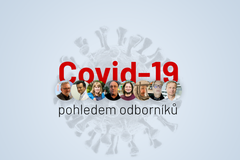 Covid - anketa (odborníci)