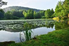 Jednorázové užití / Fotogalerie / Krásy CHKO Kokořínska