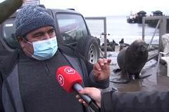 „Lachtaní mor jsi říkat neměl.“ Zvíře si přišlo s rybářem vyřídit účty osobně