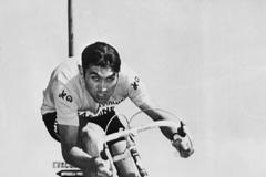 Jednorázové užití / Fotogalerie / Kanibal Merckx / Profimedia