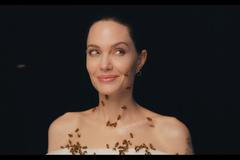 Angelina Jolie po sobě nechala lézt roj včel. Jedné se opravdu bála