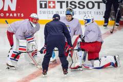 MS příprava, Roman Will, Šimon Hrubec, Petr Kváča