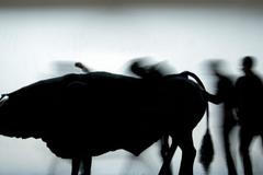 Transverse Orientation