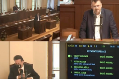 Interpelace jako fraška. Jediný ministr a Volný, který si vyprosil napomenutí