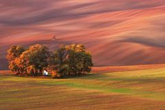 Radek Severa - Moravské Slovácko