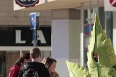 Brigáda - student převlečený za konopí