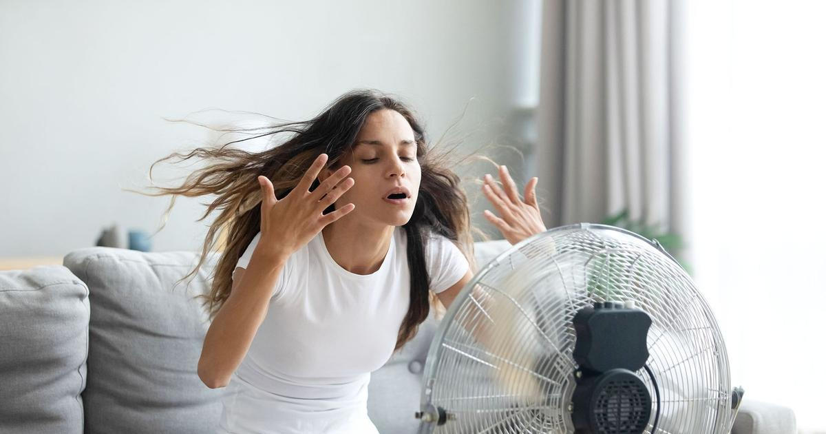 V Německu letos kvůli vedrům zemřelo téměř 10 tisíc lidí, nejvíce za desetiletí
