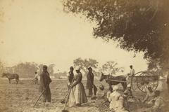 Otroci na plantáži v Jižní Karolíně