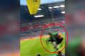 Paraglidista Greenpeace zranil na stadionu v Mnichově několik lidí