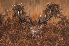 Nejlepší snímky přírody ze soutěže PA2F Environmental Photography Award