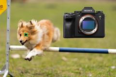 Test bezzrcadlovky Sony A1 - ukázkové fotografie