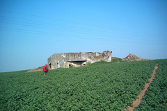 Bunkr - Pěchotní srub „Nad potokem“