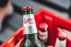 Budějovický Budvar-lahvové pivo