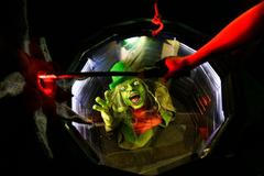 Blik Blik Tajuplný les