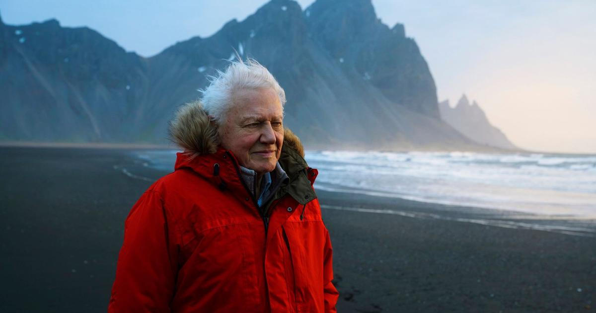 Příroda je pro něj příběh, ani ten jeho není bez rozporů. Attenborough slaví 100 let 