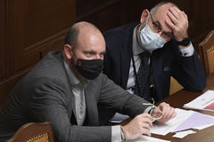 Blatný se může stát obětním beránkem, Babiš je pod tlakem Hradu, říká Fendrych