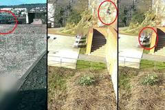 Dívka v Brně spadla z hradební římsy