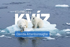 Klimatický kvíz Davida Attenborougha