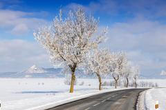 České Středohoří, CHKO, Zřícenina hradu Košťálov, zima, sníh