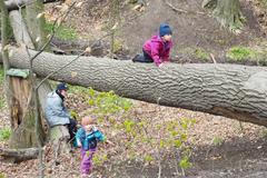 Lesní školka Hvězdy v lese
