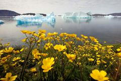 gronsko, led, ledovec, teplo, tání