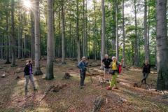 Jizerskohorské bučiny