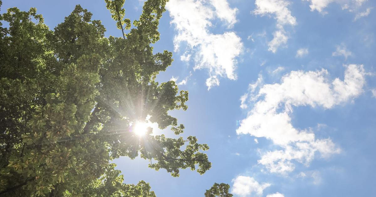 Česko čeká změna počasí. Dočkáme se jarních teplot a slunečných dní?