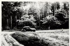 Politická vražda Františka Novotného