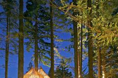 Jednorázové užití / Fotogalerie / Krása střídá nádheru. Tak vypadají pohádkově poutavé stromodomy