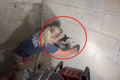 Pes spadl mezi dvě zdi, vyprostili ho až hasiči. Video z jeho záchrany je hitem