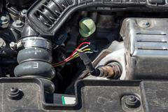 Překousané kabely auto kuna