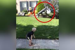 A zvířátko na konec: Pes poprvé letěl na paraglidu nad francouzskými Alpami