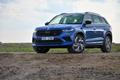 Škoda Kodiaq RS TSI 2021