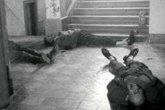 Babice, babické procesy