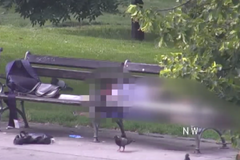 Opilá dvojice souložila za dne před hlavním nádražím. Žena po zadržení strážníka poplivala