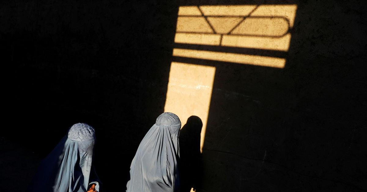 Dánská vláda chce zakázat burky a nikáby ve školách a univerzitách