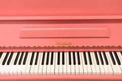 Český hudební fond