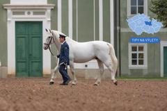 Tipy na výlety po Pardubickém kraji