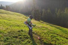 Sekání borůvek v Krkonoších