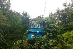 bouřky, vlak, nehoda, strom