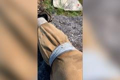 Strach z klíšťat. Muž se podělil o jednoduchý trik, jak je porazit