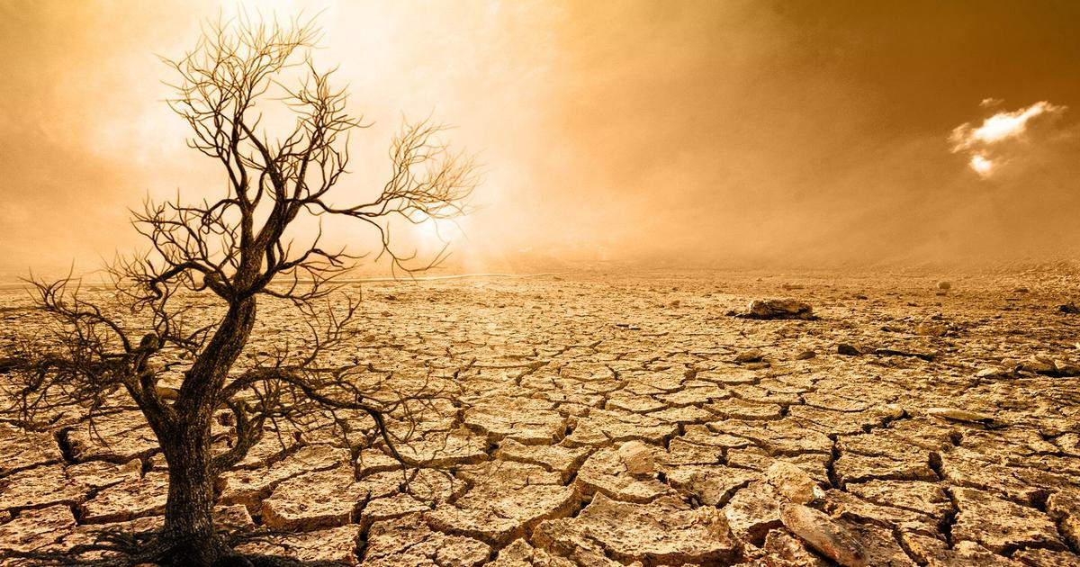 Změny klimatu a extrémní počasí zdražují potraviny i pojištění, shodují se experti