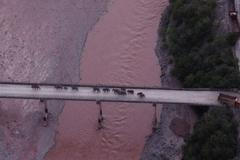 Čína sloni migrace