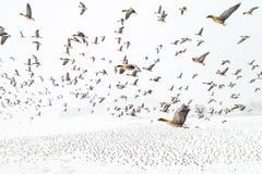 Vítězné snímky ze soutěže Drone Awards 2021