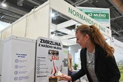 mléko A2 kasein alergie