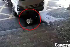 Neuvěřitelné batole si samo zachránilo život. Ohrožoval ho couvající náklaďák