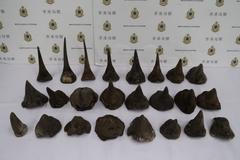 nosorožčí roh pašování gang soud