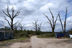 Stromy zničené tornádem - Česko, Morava