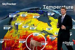 Pes narušil živé vysílání. U předpovědi počasí si přiběhl pro pamlsky, z videa je hit